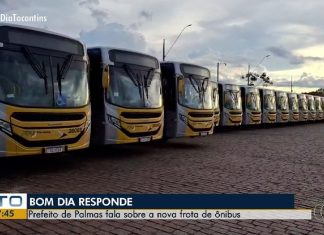 Novos ônibus do transporte coletivo de Palmas devem começar rodar na próxima semana, diz prefeito