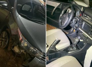 Neto obrigou avó a passar senha de contas bancárias antes de matá-la para roubar carro, diz delegado
