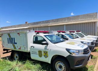 Mulher morre após bater moto em árvore às margens de avenida