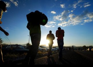 Romeiros caminham pelas estradas do Tocantins em devoção ao Senhor do Bonfim; veja dicas de segurança no trânsito