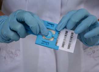 Campanha coleta DNA de parentes para ajudar nas buscas por pessoas desaparecidas; entenda