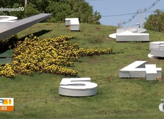 Cartão postal de Palmas, Relógio de Flores é alvo de vandalismo