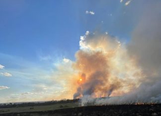 Incêndio atinge território quilombola e destrói parte de campo de capim dourado