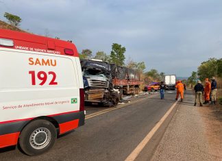 Acidente entre caminhões deixa motorista morto e outro ferido na TO-010