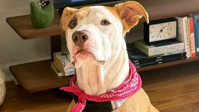 84372c00-ca2e-11f0-8509-37d18cd138a9