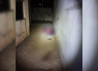 Filha adolescente suspeita e fuga em carro: o que se sabe sobre caso de advogado morto a facadas em Gurupi