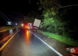 Mulher grávida e dois filhos morrem após acidente entre carro e caminhão na BR-153
