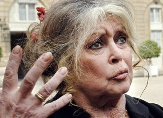 Brigitte Bardot se pronuncia a respeito de seu estado de saúde