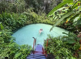 Conheça os fervedouros do Jalapão e entenda por que é impossível afundar nessas águas