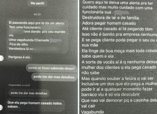 ‘Finge de boa moça’: veja mensagens enviadas por mulher que criou perfil falso para difamar ex-colega de trabalho