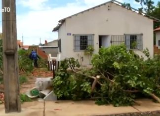 Moradores iniciam reconstrução após rastro de destruição em Palmas: ‘Nunca tinha visto isso’