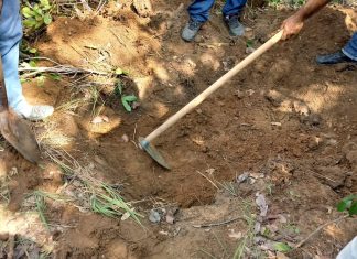 Homem acusado de matar ex-companheira e enterrar corpo em quintal vai a júri popular no Tocantins