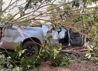 Homem morre após caminhonete capotar na TO-130