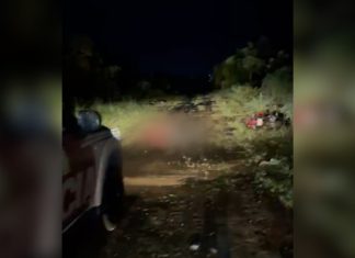 Suspeito de crimes morre em troca de tiros com a polícia em área de mata, em Palmas