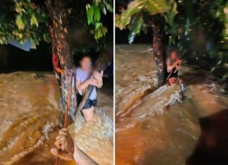 Mulher é resgatada pelo Corpo de Bombeiros após ficar ilhada e se agarrar em árvore no TO; VÍDEO