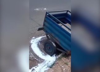 Carretinha interrompe pintura de meio-fio em cidade do TO, e internautas se divertem com a situação; VÍDEO