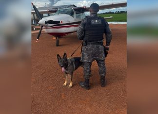 Piloto é preso e avião apreendido no Tocantins após polícia encontrar drogas e folhas de coca
