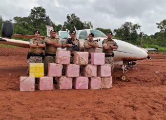 Cerco contra traficantes continua em área de mata após apreensão de avião com drogas