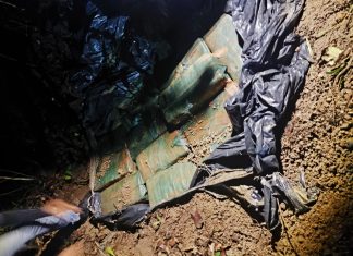 Polícia encontra 500 kg de cocaína enterrados após apreensão de avião em Dueré