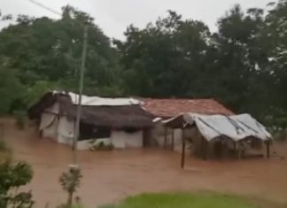 Mulher entra em desespero ao ver casa sendo alagada em povoado do Tocantins; vídeo