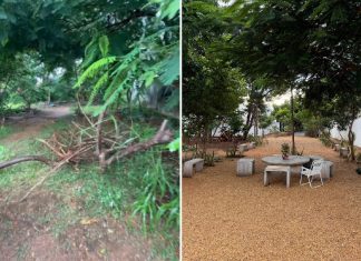 Influenciador com 3,5 milhões de seguidores se muda para Palmas e faz mutirão para limpar área pública: ‘Era um depósito de lixo’