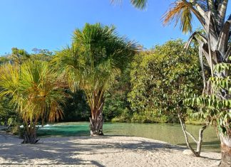 Saiba como chegar, quanto custa e o que levar para o oásis no meio do cerrado no Tocantins