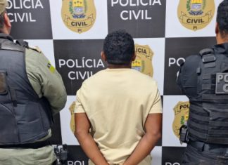 Suspeito de matar idoso a pauladas durante assalto no TO é preso no PI