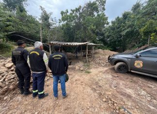 Operação da PF fecha garimpo ilegal de ouro e prende uma pessoa em flagrante no Tocantins
