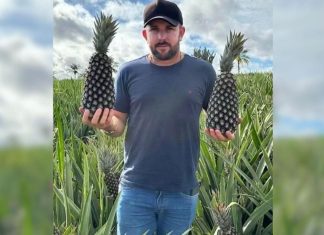 Lata de tinta e digital parcial levaram polícia aos suspeitos de matar fazendeiro no Tocantins