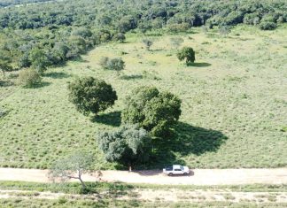 Mecânico é avistado por drone e equipe usa trator para diminuir pasto na região de buscas