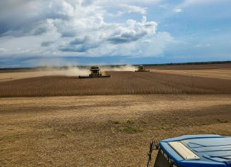 Clima, custos e mercado desafiam a produção agrícola no Tocantins