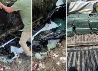 Cocaína encontrada em buraco na mata no TO chega a quase 470 kg