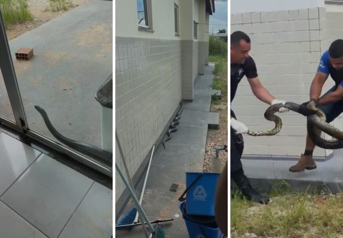 foto-e-montagem-vertical-87-