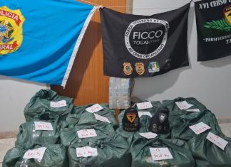 Entenda a prisão do motorista suspeito de transportar 467 kg de cocaína em caminhão carregado de abacaxi