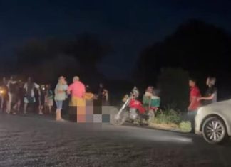 Motociclista morre após se envolver em acidente com cavalo na TO-201