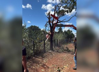 O que se sabe sobre a queda do helicóptero da dupla Henrique e Juliano em fazenda no Tocantins