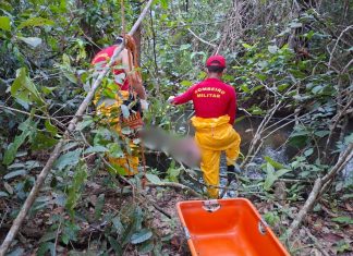 Pescadores encontram corpo em decomposição preso em galhos em rio no TO, dizem bombeiros