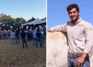 Cavalo de empresário morto aos 31 anos entra sozinho em arena e emociona amigos no Tocantins