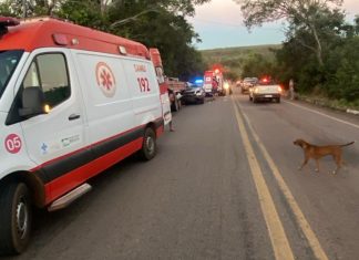 Mulher de 69 anos morta em acidente na BR-010 é identificada