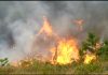 Tocantins suspende queimas controladas sob risco crítico de incêndios; veja o que muda