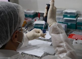 Coleta DNA para localizar desaparecidos será realizada no Tocantins