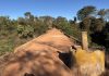 Ponte da TO-487 entre Taguatinga e Taipas será interditada; veja rotas alternativas