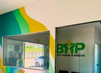 Entenda como vai funcionar a moeda ‘Pequi’ lançada por cidade no TO