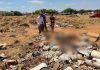 Corpo esquartejado é encontrado dentro de sacos em área verde na região sul de Palmas